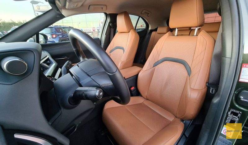 LEXUS UX 250h 2.0L HYBRID ECVT AWD Luxury 184PS full